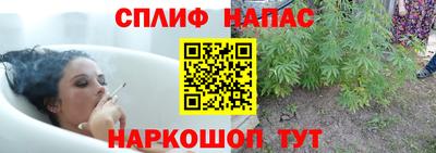 герыч Сланцы