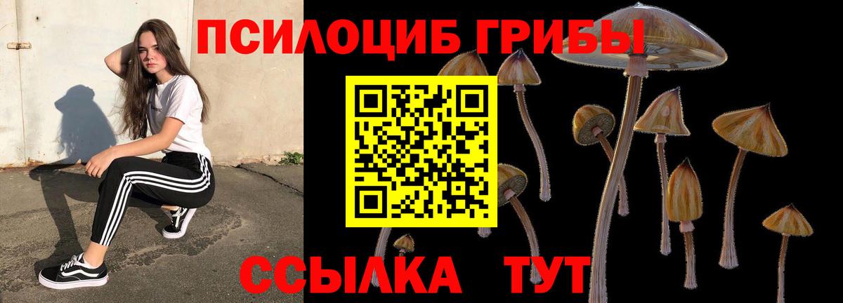 Галлюциногенные грибы Psilocybine cubensis Урюпинск